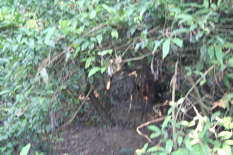 05-10-11-0522.JPG