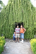 05-10-10-0509