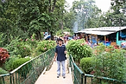 05-10-05-0252