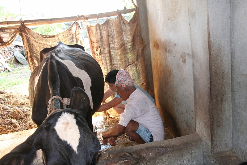 05-10-11-0543.JPG