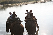 Chitwan National Park