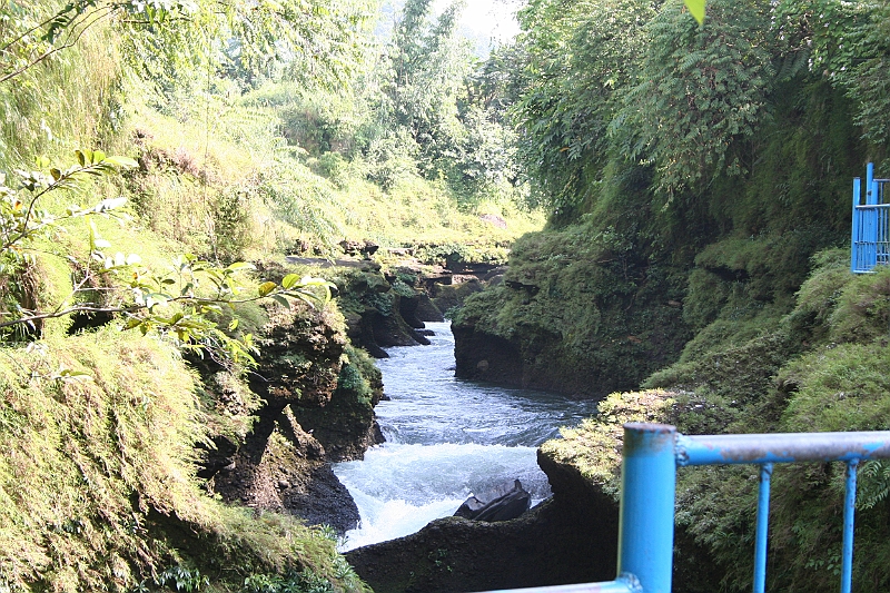 05-10-09-0454.JPG