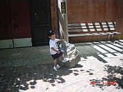 05-07-03-2658