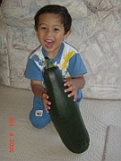 05-08-06-2724
