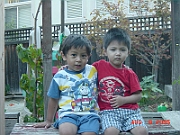 05-08-06-2738