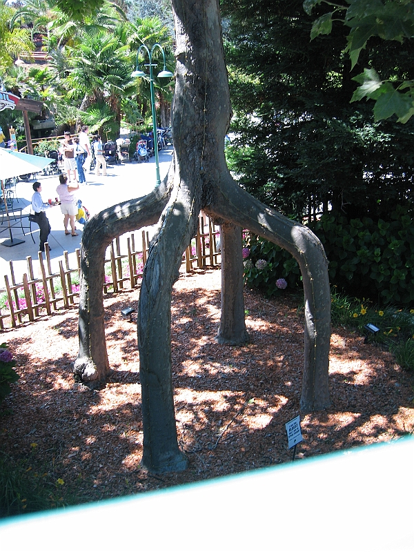 06-08-12-140644.jpg