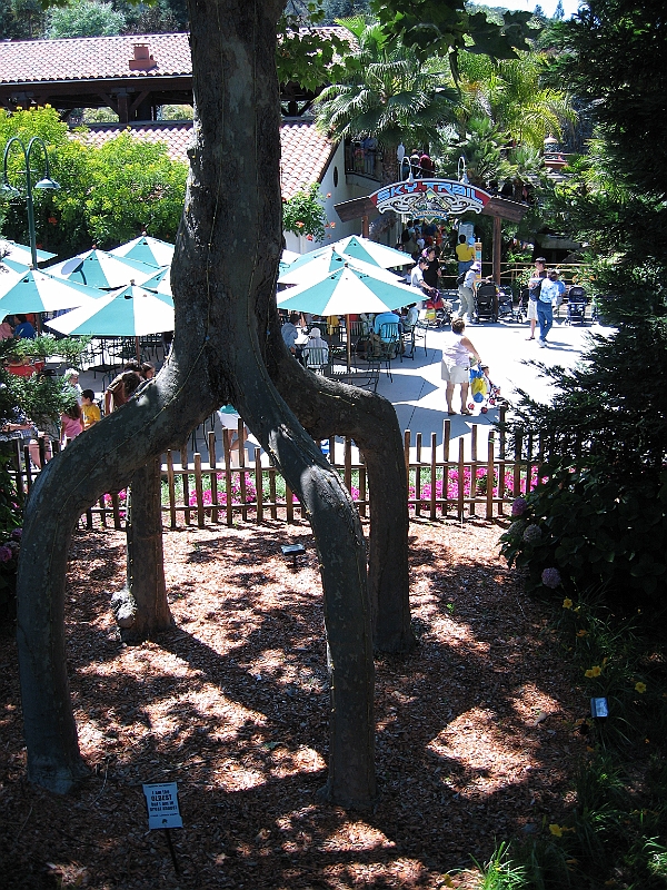 06-08-12-140648.jpg