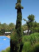 06-08-12-115800