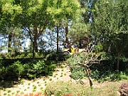 06-08-12-124810