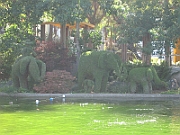 06-08-12-160704
