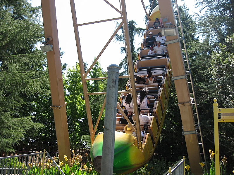 06-08-06-111034.JPG