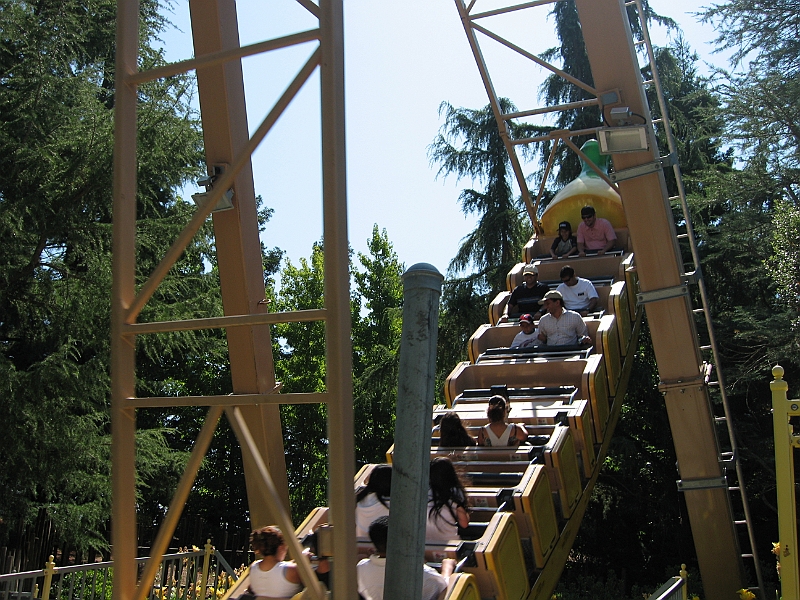 06-08-06-111040.JPG