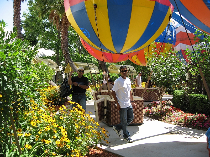 06-08-06-124416.JPG