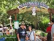 06-08-06-111406