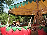 06-08-06-112350