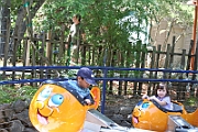 06-08-06-115520