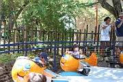 06-08-06-115606