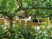 06-08-06-123740