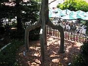 06-08-06-140508