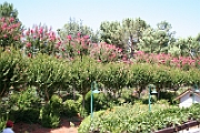 06-08-06-145300