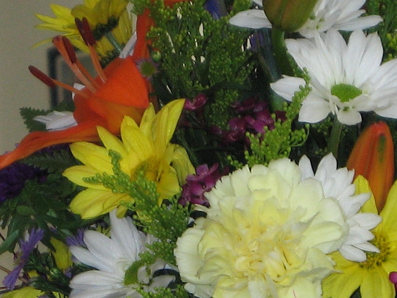 06-04-01-110610.JPG