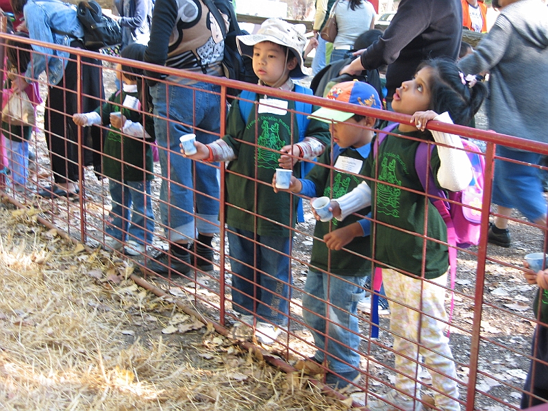 06-10-04-101132.JPG