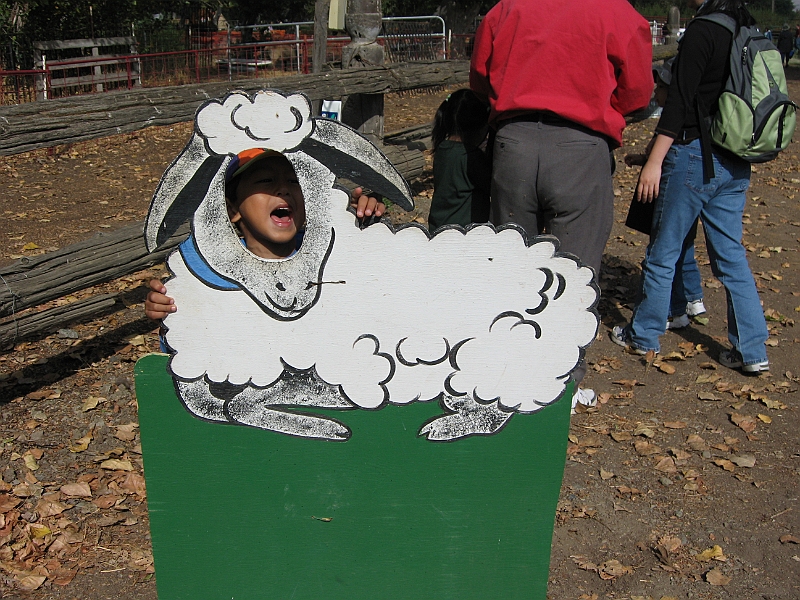 06-10-04-103632.JPG