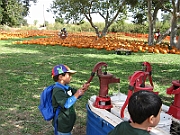 06-10-04-111036