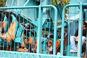 06-08-20-111810