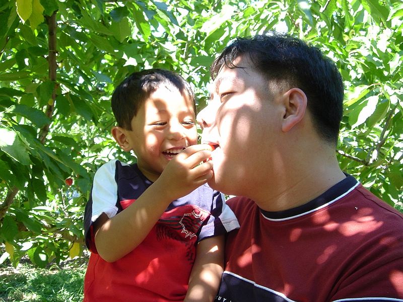 06-06-04-101214.JPG