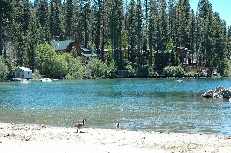 06-06-05-115348.JPG