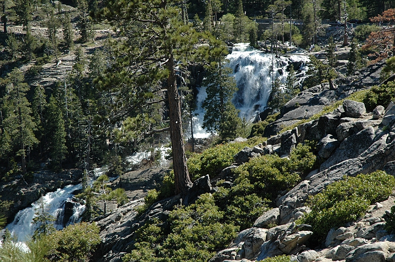 06-06-05-150954.JPG