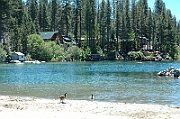 06-06-05-115348