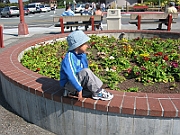 06-06-12-153222