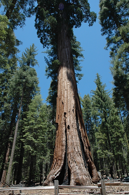 06-06-10-121640.jpg