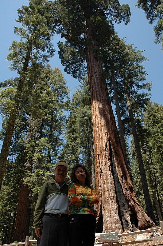 06-06-10-121904.jpg