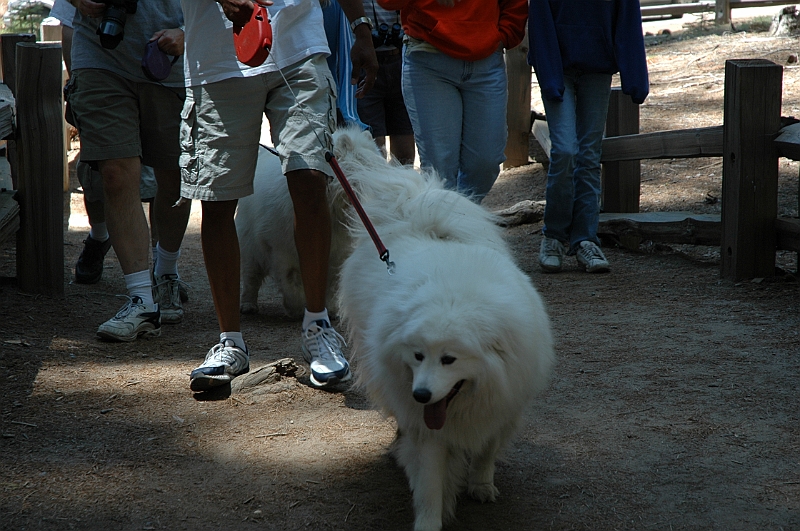 06-06-10-122344.JPG