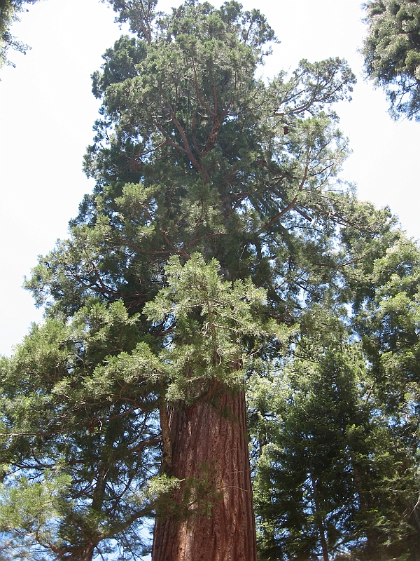 06-06-10-122406.jpg