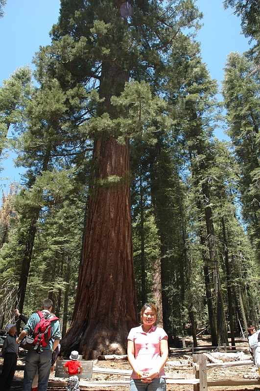 06-06-10-123258.jpg