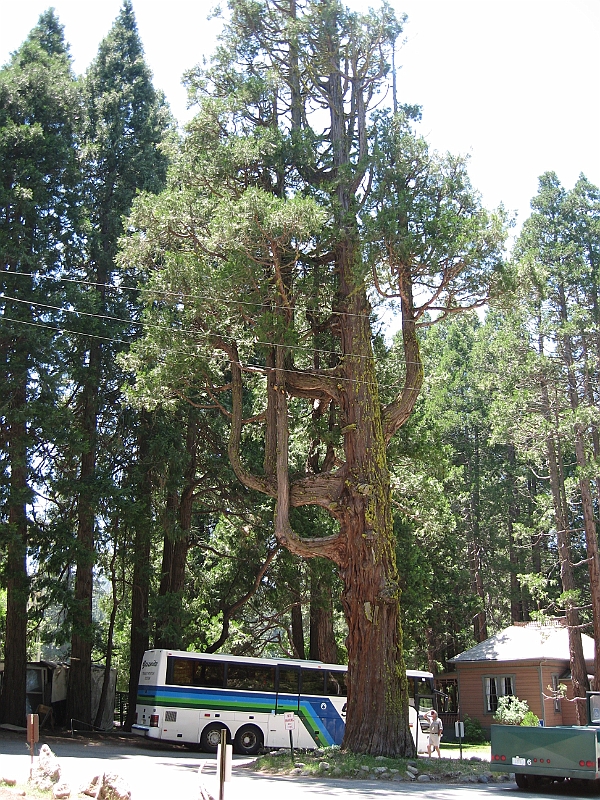 06-06-10-131244.jpg