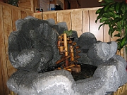 06-06-09-205006