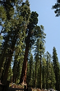 06-06-10-122314