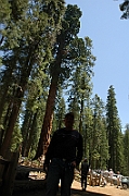 06-06-10-122430