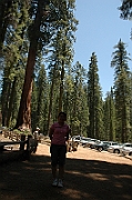 06-06-10-122508