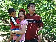 Cherry Picking