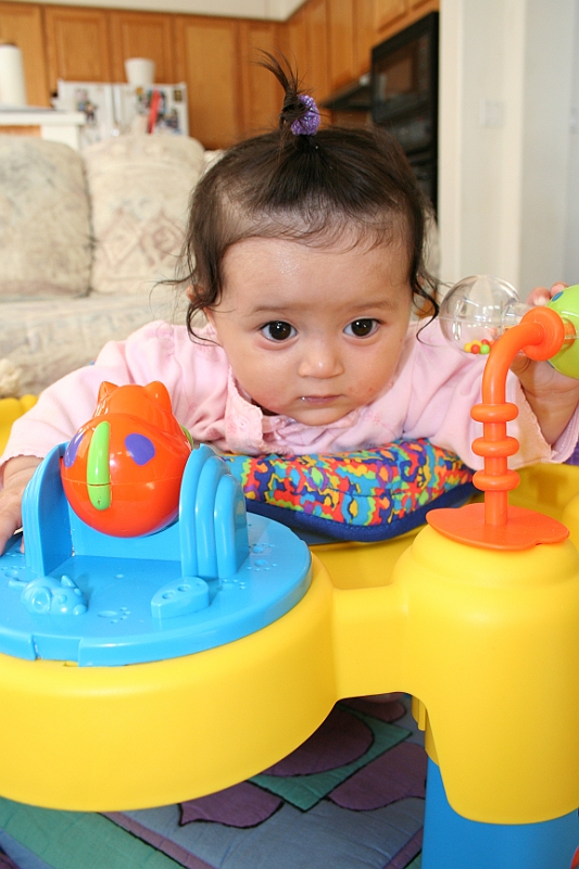 07-06-17-090050.JPG