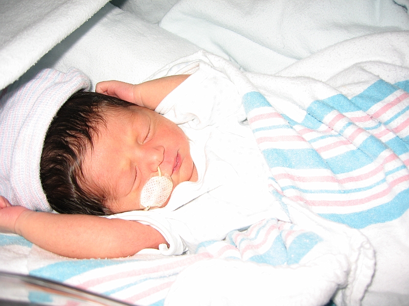 06-12-04-135016.JPG