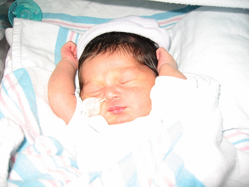 06-12-04-135037.JPG