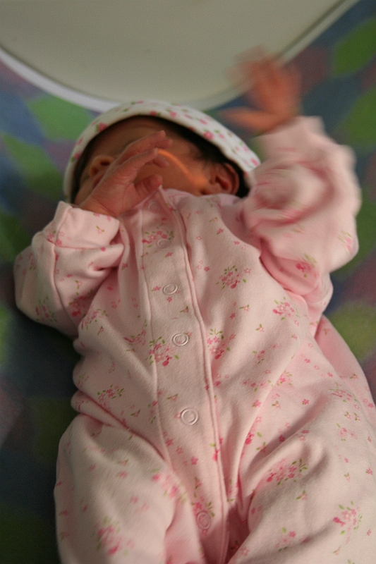 06-12-07-125345.JPG