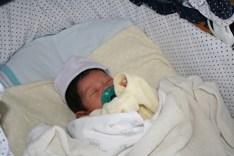 06-12-09-153133.JPG